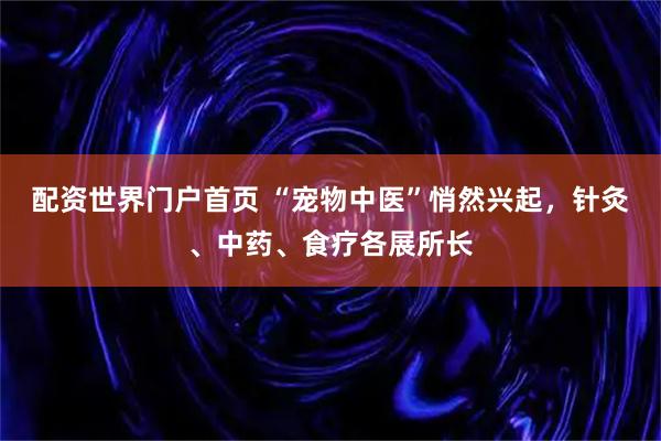 配资世界门户首页 “宠物中医”悄然兴起,针灸、中药、食疗各展所长